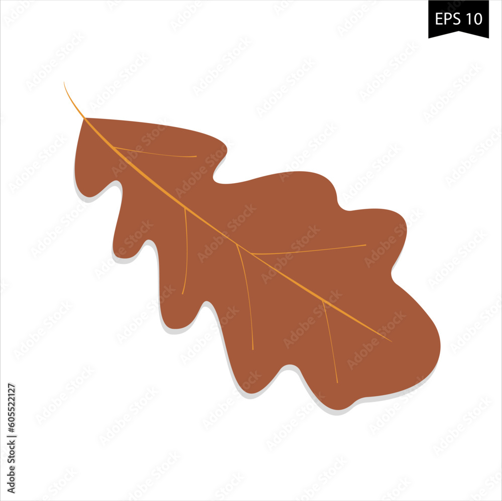 Naklejka premium oak leaf with a drop of water