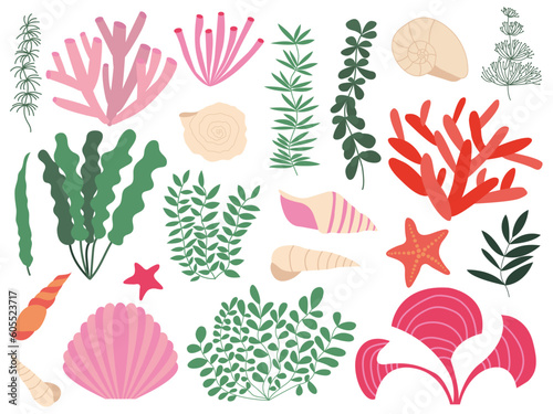 Vector underwater seaweed set. Different kinds corals, algae and sea shells set