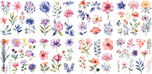 Stampa su tela A Big watercolor floral package collection
