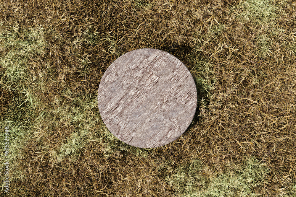 Abstact 3d render top view summer scene and Natural podium background. Wooden podium on the dry grass field for product display advertising, cosmetic, etc Abstact 3d render top view summer scene and Natural podium background. Wooden podium on the dry grass field for product display advertising, cosmetic, etc