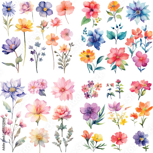 A Big watercolor floral package collection. Use by fabric, fashion, wedding invitation, template, poster, romance, greeting, spring, bouquet, pattern, decoration and textile.