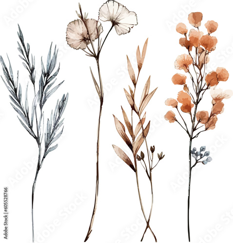 Set of dried floral watecolor. dry flower, dry leaves. Floral poster, invitation floral. Vector arrangements for greeting card or invitation design	
