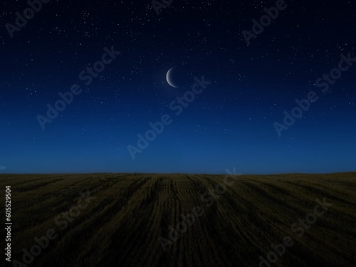 Half moon in the starry sky. Lunar disc over wheat field. Dreamy night landscape.