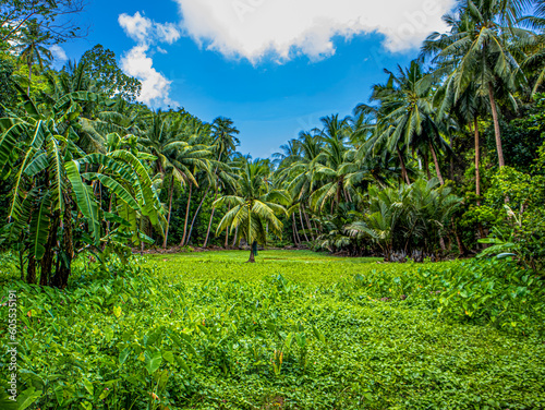 Fototapeta Naklejka Na Ścianę i Meble -  Guimaras Island Philippines