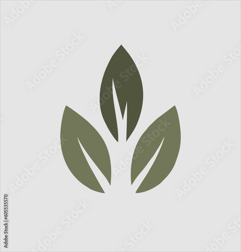 simple leaf logo design. for the flower shop logo