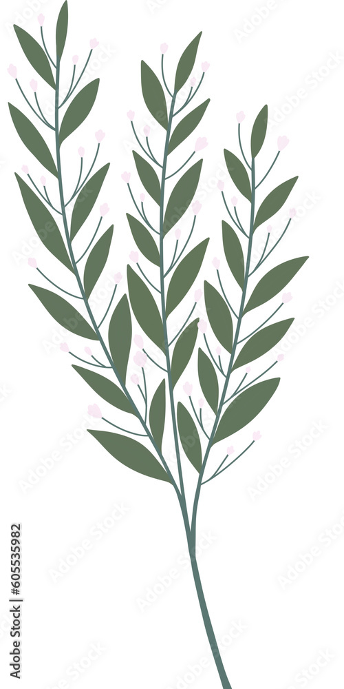 green leaves isolated on white green leaves isolated on white