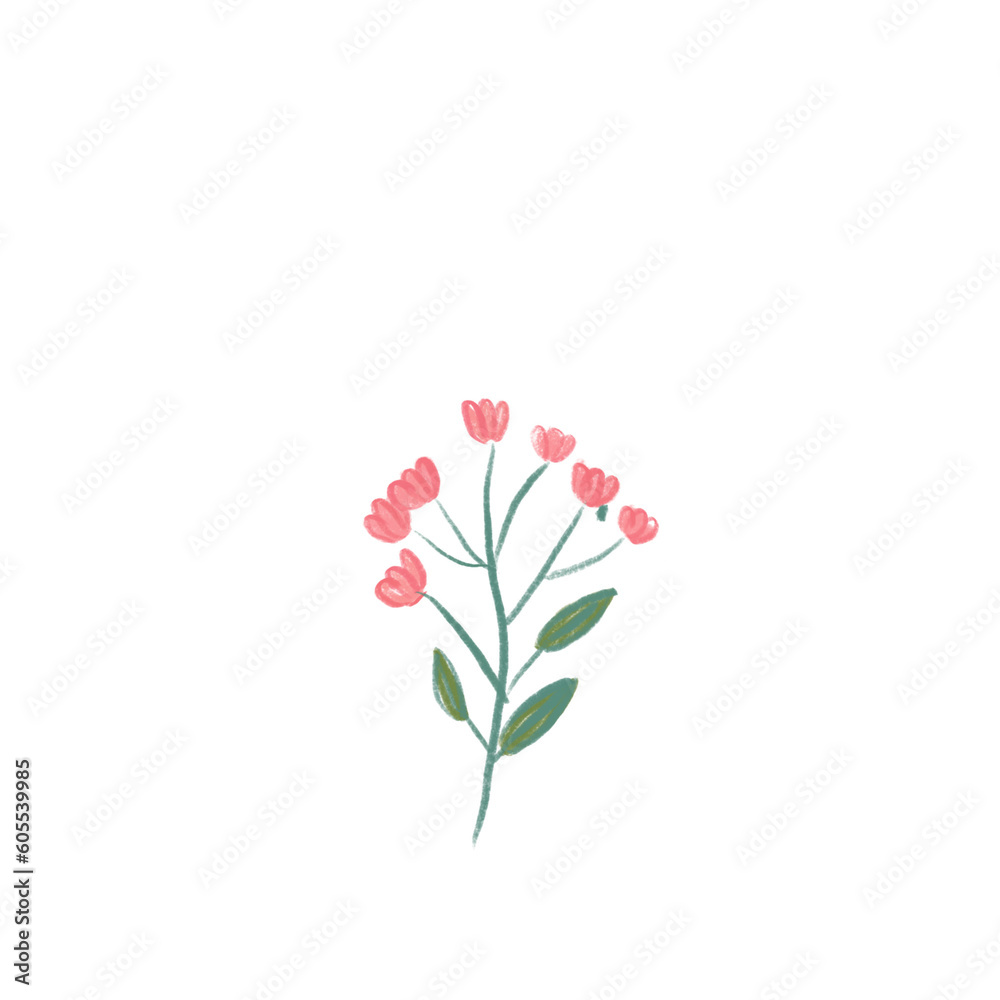 pink flower isolated on white