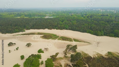 Flying towards forest at the edge of a sand drift in the Netherlands photo