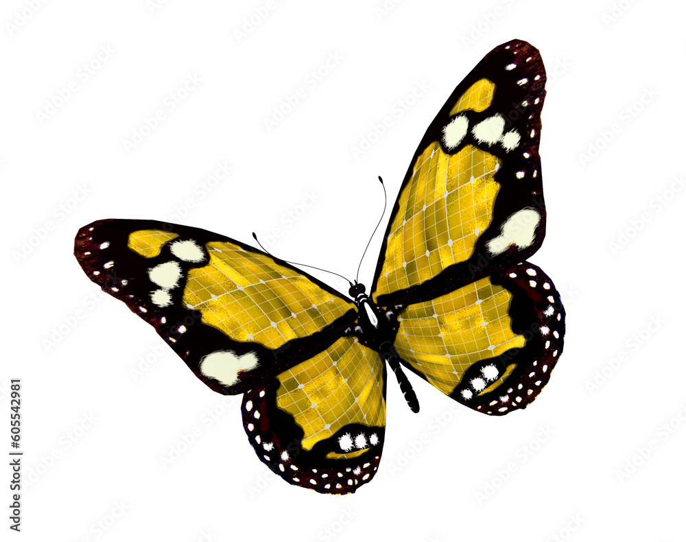 Fototapeta premium Yellow solar butterfly