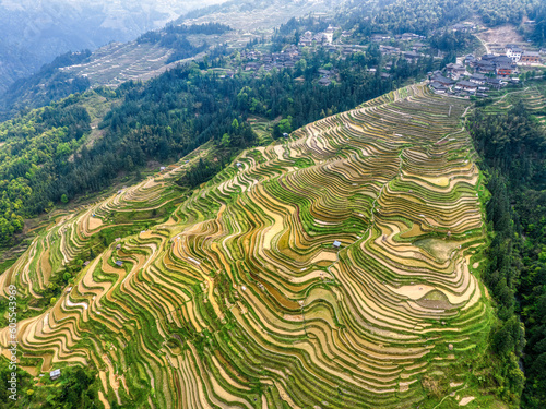 abstract curves of terrace fields on mountains