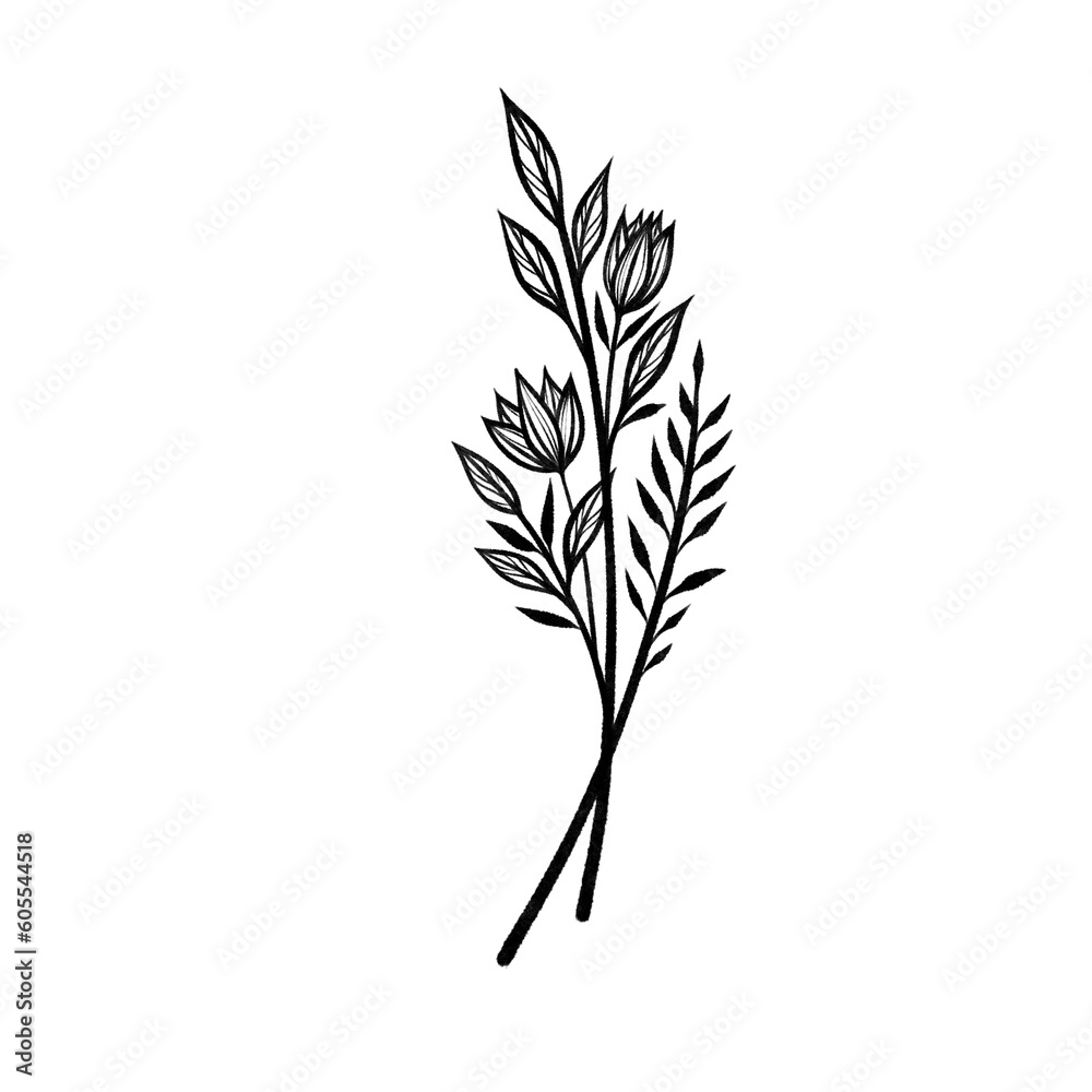 Fototapeta premium Hand-Drawn Botanical and Floral Designs