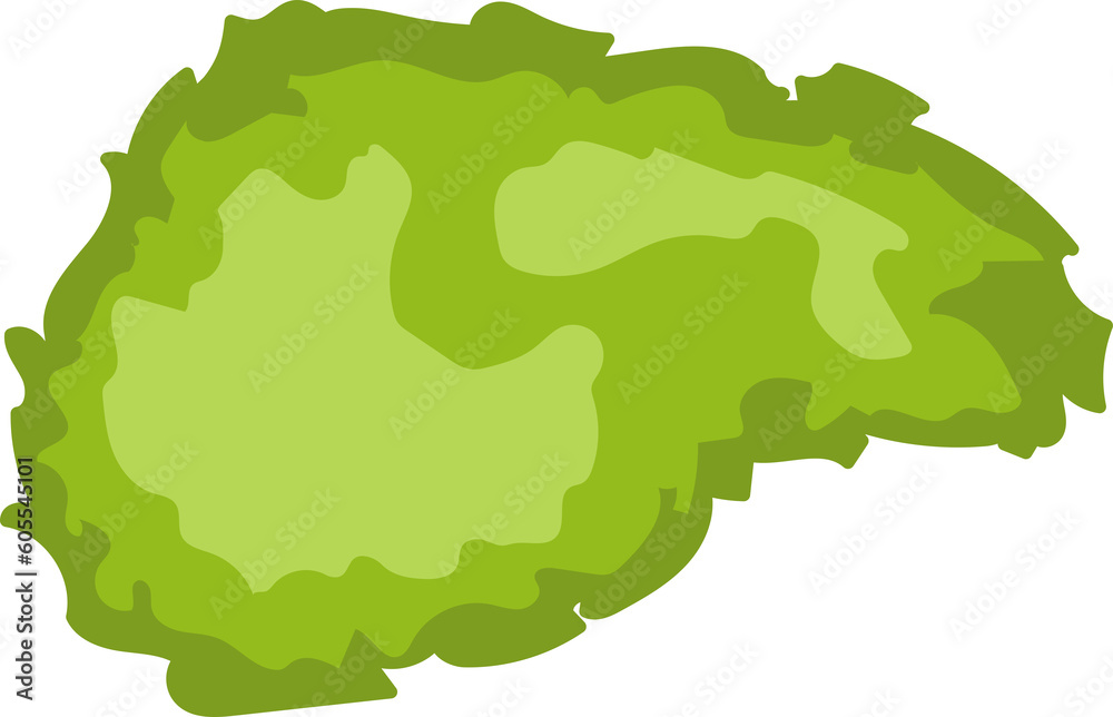 Tree, bush top view for architectural and landscape design. Colored blooming plant or tree for fence. Graphic Element for design projects. Green spaces Tree, bush top view for architectural and landscape design. Colored blooming plant or tree for fence. Graphic Element for design projects. Green spaces