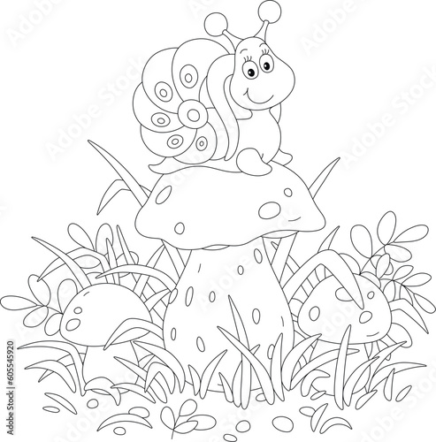 Friendly smiling little snail on a large cap of a cep mushroom among grass on a summer forest glade, black and white outline vector cartoon illustration for a coloring book