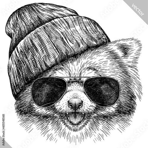 Vintage engraving isolated red panda set glasses dressed fashion illustration ink costume sketch. Chinese bear background animal silhouette sunglasses hipster hat art. Hand drawn vector image.