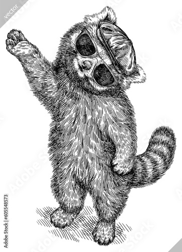 Vintage engraving isolated red panda set glasses dressed fashion illustration ink costume sketch. Chinese bear background animal silhouette sunglasses hipster hat art. Hand drawn vector image.