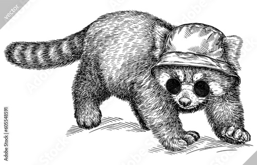 Vintage engraving isolated red panda set glasses dressed fashion illustration ink costume sketch. Chinese bear background animal silhouette sunglasses hipster hat art. Hand drawn vector image.