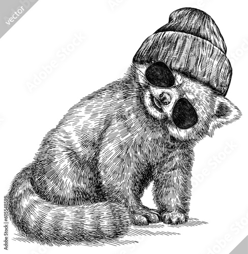 Vintage engraving isolated red panda set glasses dressed fashion illustration ink costume sketch. Chinese bear background animal silhouette sunglasses hipster hat art. Hand drawn vector image.