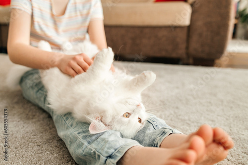 A teenage girl plays with her beloved white, fluffy kitten. The kitten lies on the legs of the child and they scratch and stroke his belly