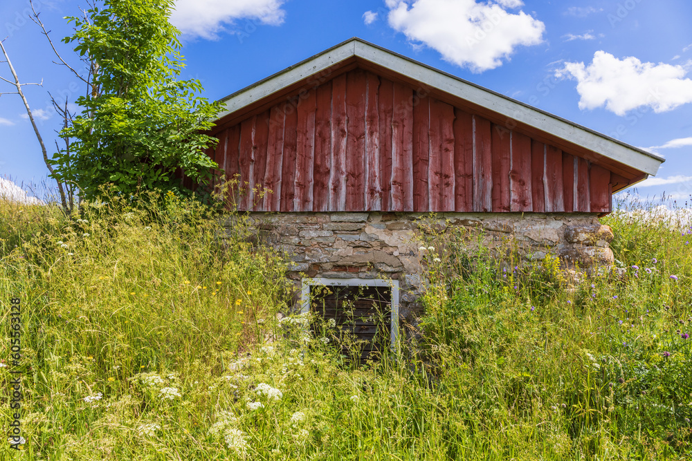 Meadow with wild flowers by an old red shed Meadow with wild flowers by an old red shed