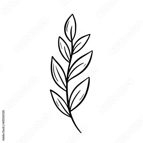 A black and white vector outline illustration of a branch with leaves captures the natural simplicity and elegance in every curve and line  creating a unique image of natural beauty.