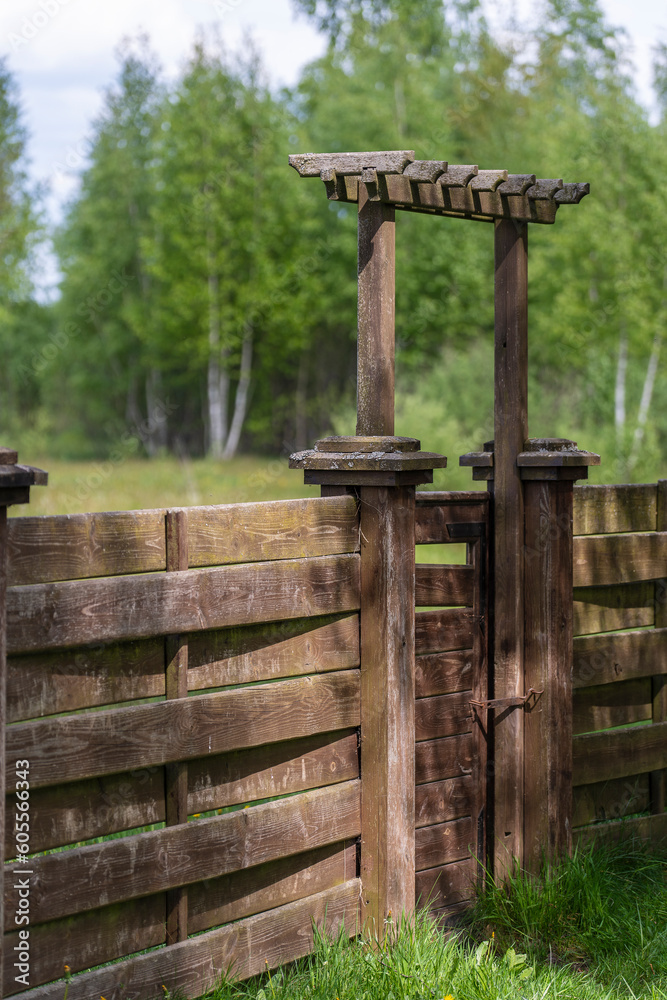 Wooden garden fence with closed door and green grass on a spring day
