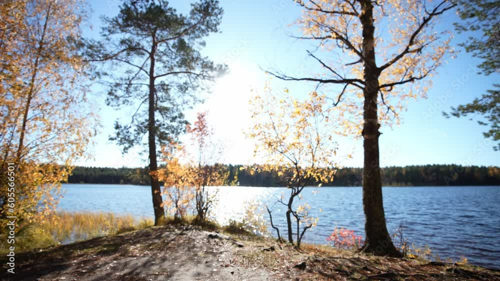 Picturesque scenery landscape on riverbank with fallen yellow leaves on green grass, trees, blue water and colourful forest. Nature background in fall time at sunny weather with clear blue sky. Picturesque scenery landscape on riverbank with fallen yellow leaves on green grass, trees, blue water and colourful forest. Nature background in fall time at sunny weather with clear blue sky.