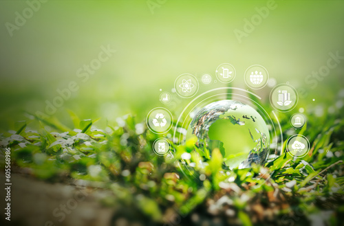 Crystal ball laying on grass with ESG icons for environment, society and governance, global sustainable environment concept