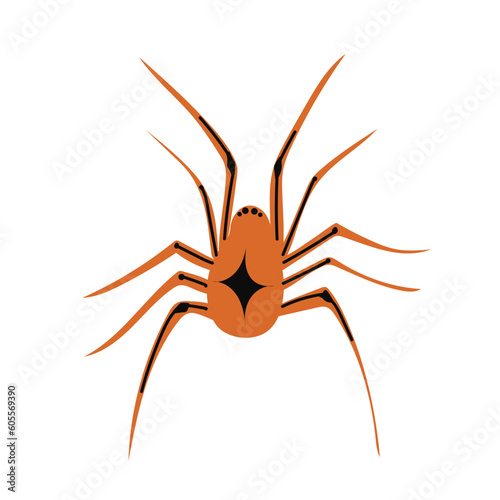 Spider flat silhouette scary, animal poisonous design. Black spider silhouette nature phobia insect danger silhouette vector icon.
