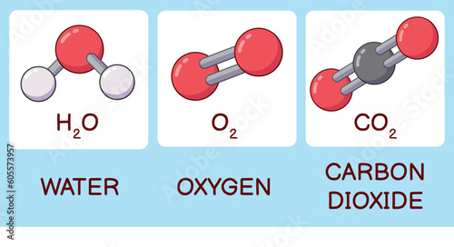 Cartoon water oxygen and carbon dioxide molecules