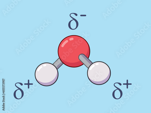 Cartoon water molecule with partial charges