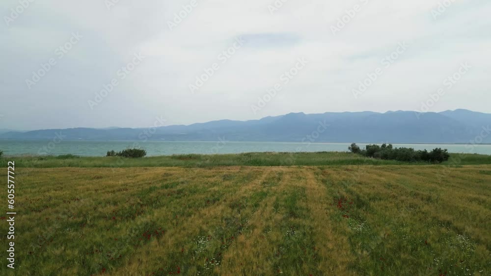 Spring Serenity: Aerial View of Aghia Marina, Phthiotis, Greece - Green Fields and Seaside Beauty Spring Serenity: Aerial View of Aghia Marina, Phthiotis, Greece - Green Fields and Seaside Beauty