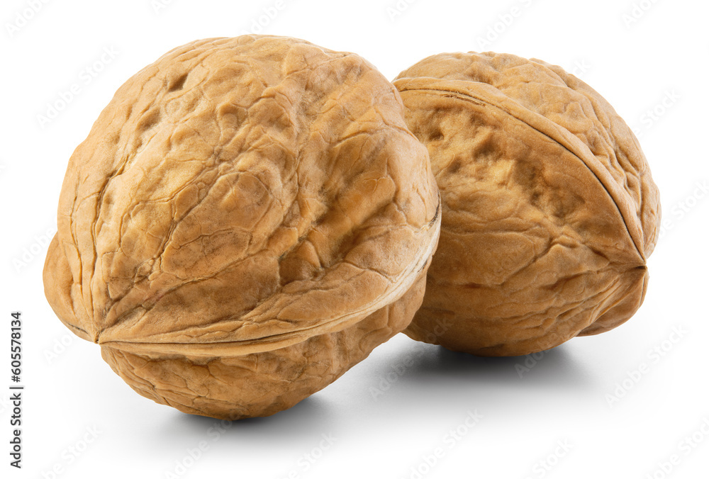 Walnut isolated. Two unpeeled walnuts on white background. Walnut nut with shell. Side view. With clipping path. Full depth of field. Walnut isolated. Two unpeeled walnuts on white background. Walnut nut with shell. Side view. With clipping path. Full depth of field.