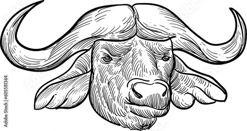 Vintage hand drawn sketch buffalo Nepal head