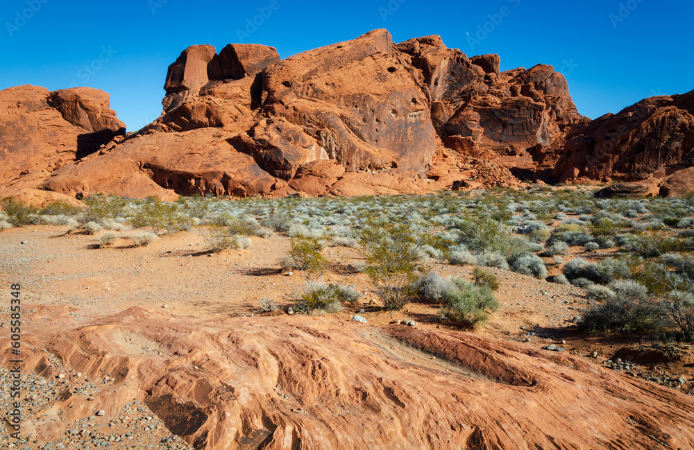 Fototapeta premium The Rugged Landscape of Valley of Fire State Park