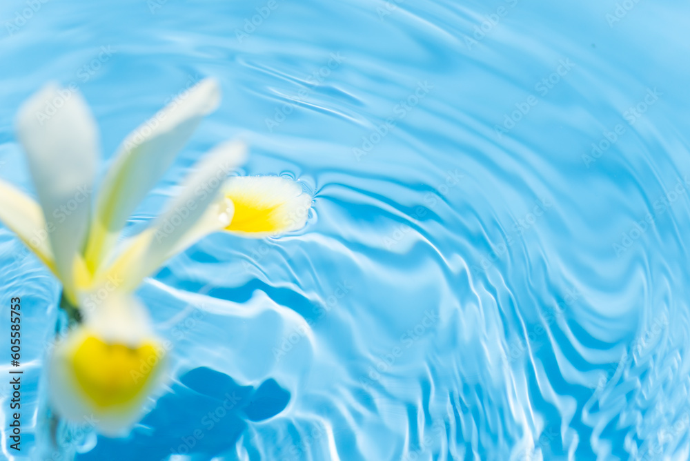 水に浮かぶダッチアイリス