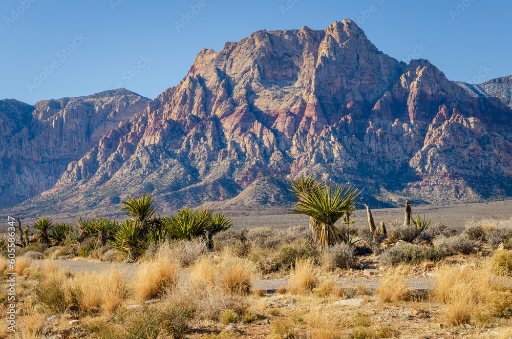 The Rugged Red Mojave Desert Landscape at Rock Canyon National Conservation Area
