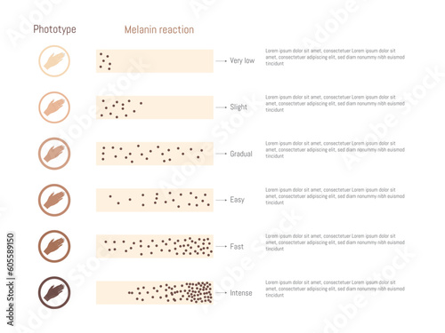 Diagram of phototypes and melanin reaction. photo