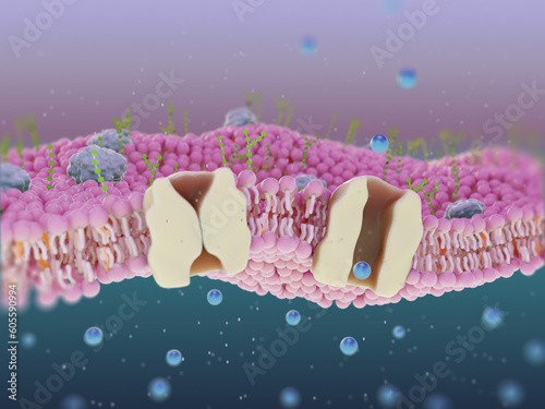 Transmembrane protein channel, illustration photo