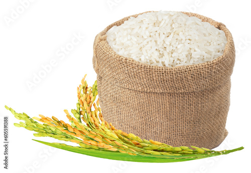 Jasmine rice in burlap sack bag with paddy rice isolated. Png transparency photo