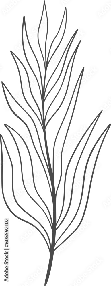 Wildplan line art, plant, nature, illustration, isolated, floral, botanical, design, wild, vector, flower, leaf, art, drawing, summer, clip art, graphic, set, natural, botany, collection, green