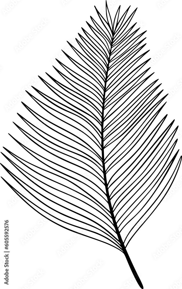 palm line art, design, illustration, vector, palm, line, art, graphic, nature, summer, drawing, background, tropical, leaf, abstract, modern, plant, exotic, print, isolated, outline, poster, tree palm line art, design, illustration, vector, palm, line, art, graphic, nature, summer, drawing, background, tropical, leaf, abstract, modern, plant, exotic, print, isolated, outline, poster, tree