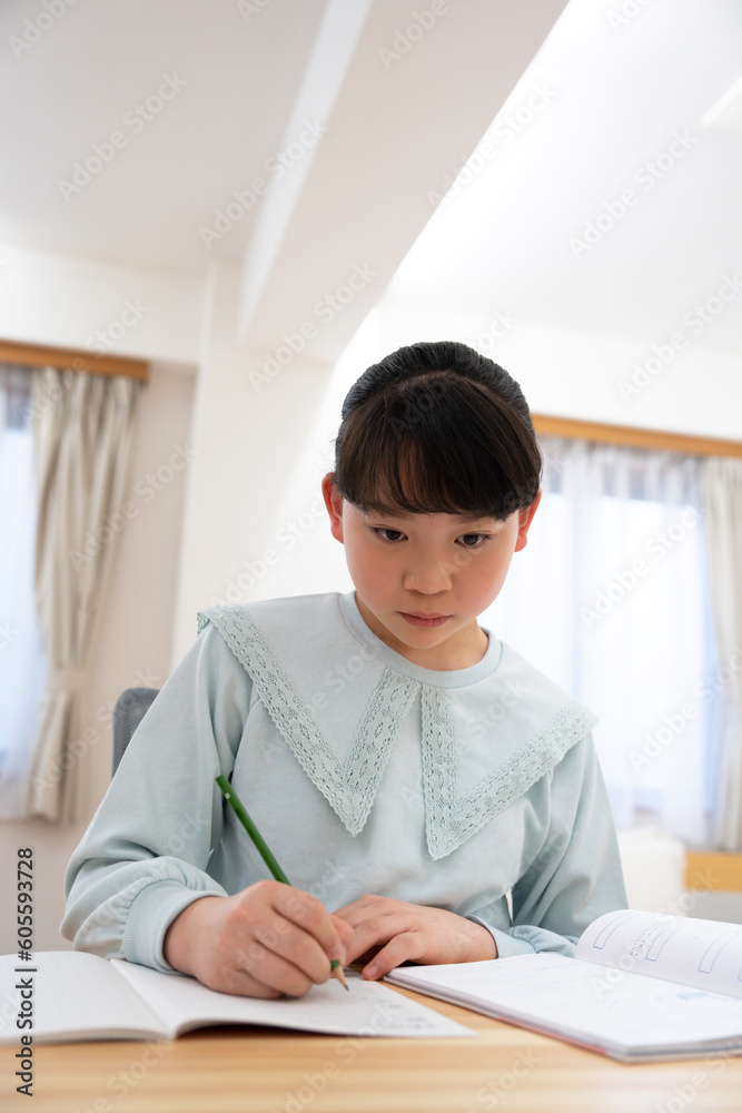 家で勉強している日本の女の子 家で勉強している日本の女の子