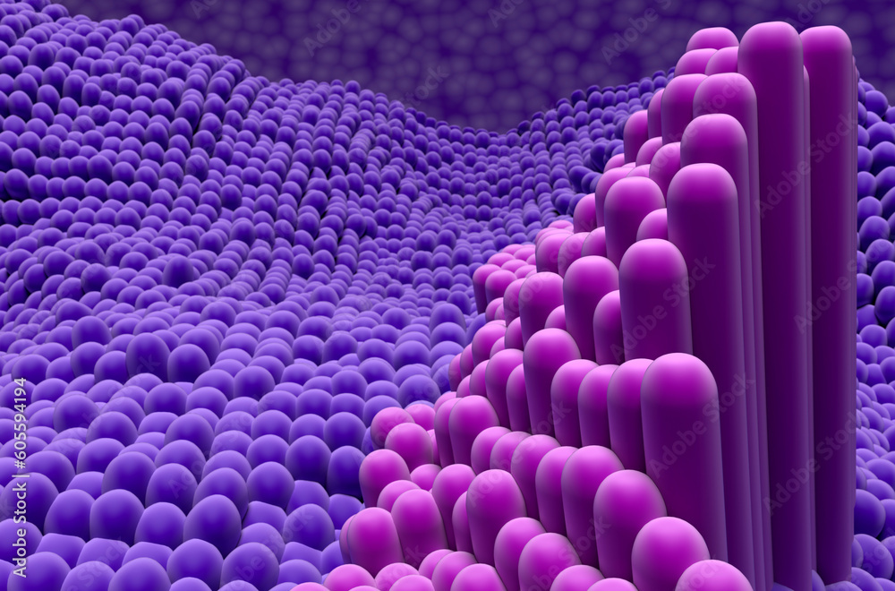 Obraz premium Tendon structure in the human body - 3d illustration closeup view