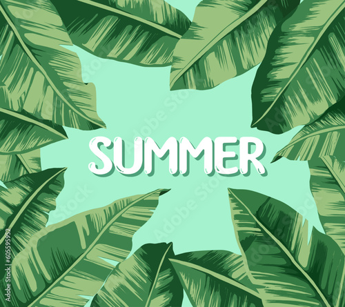 Tropical summer background with banana leaves,  바나나잎이 있는 여름 트로피칼 배경 © hwikyung