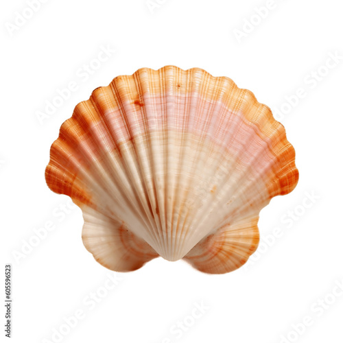 Isolated Scallop Shell on Transparent Background. AI