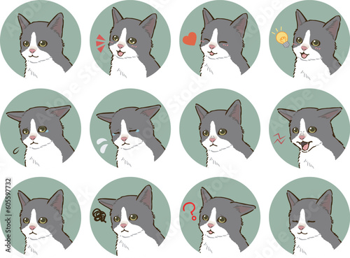猫の表情アイコンセット（バイカラー）