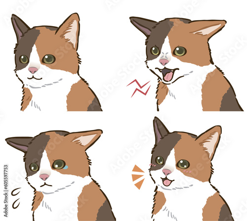 猫の喜怒哀楽セット（三毛猫）