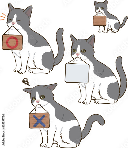 看板を咥える猫（バイカラー）