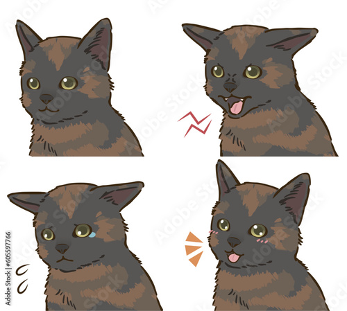 猫の喜怒哀楽セット（サビ）