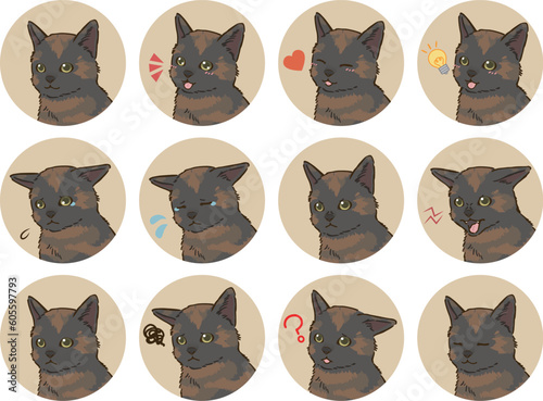 猫の表情アイコンセット（サビ）